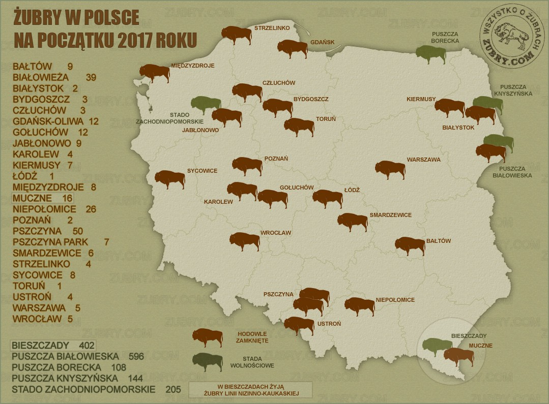 Liczba i rozmieszczenie żubrów w Polsce w 2017 roku