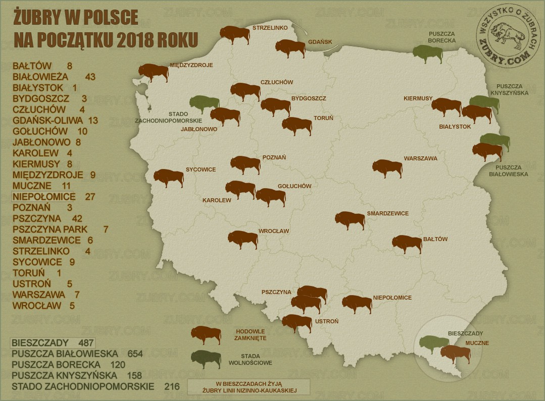 Liczba i rozmieszczenie żubrów w Polsce w 2017 roku