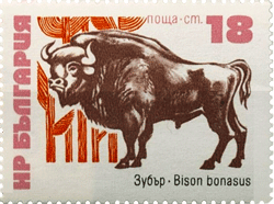 Znaczek pocztowy żubr Bułgaria - 1973 rok
