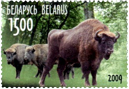 Białoruś - 2009 rok