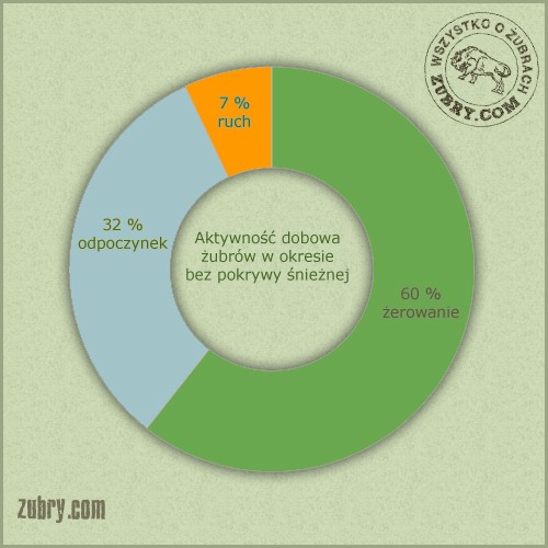 /obrazy/plAktywność dobowa żubra w okresie bez pokrywy śnieznej