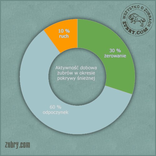 /obrazy/plAktywność dobowa żubra w okresie pokrywy śnieznej