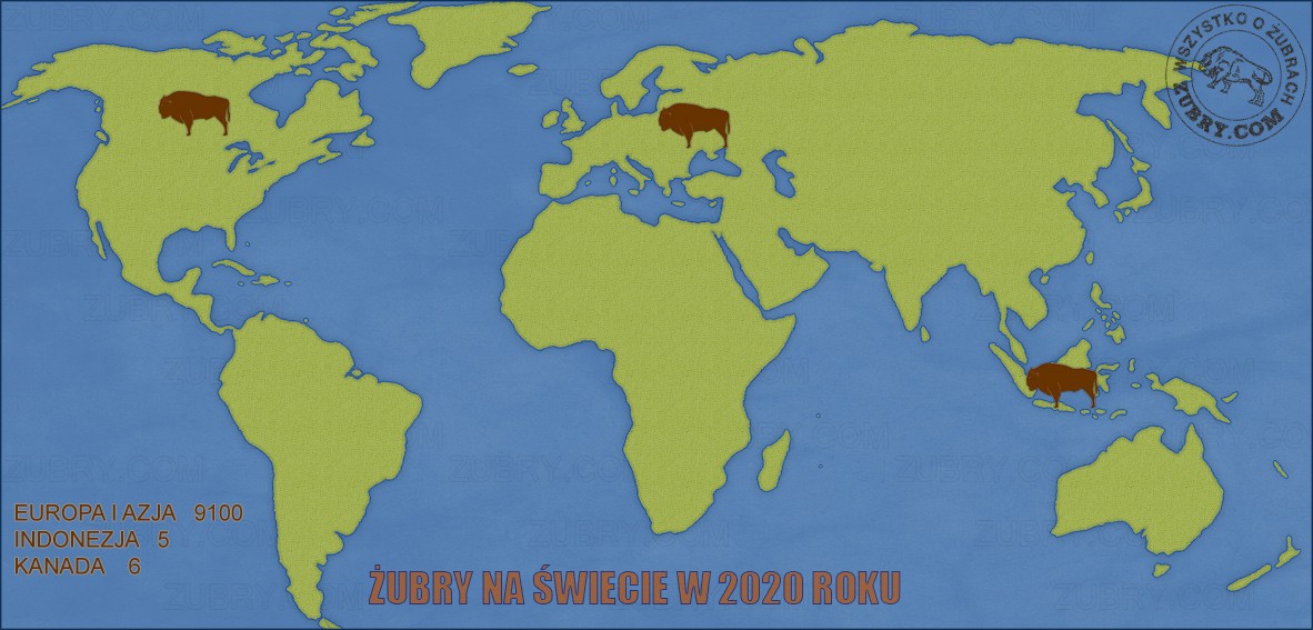 Liczba żubrów na świecie w 2020 roku