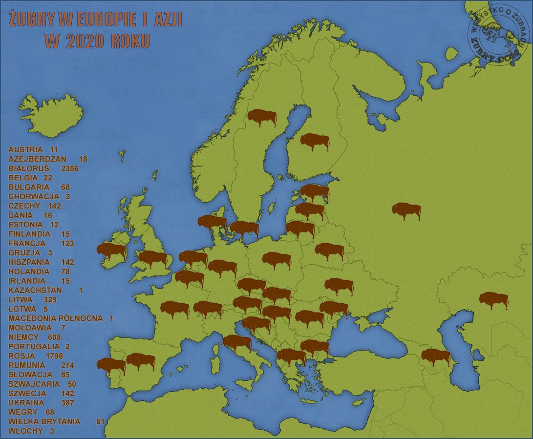 Żubr w Europie i Azji w 2020 roku