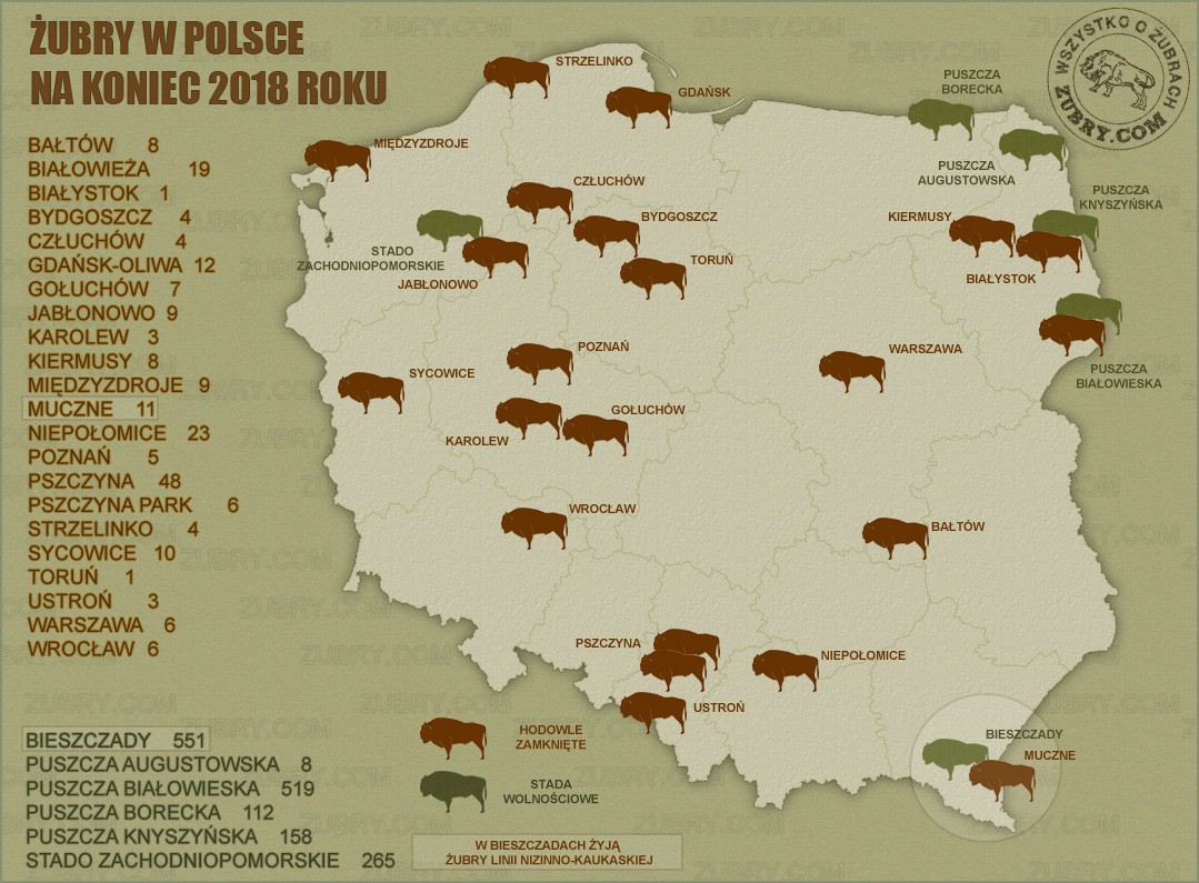 Liczba i rozmieszczenie żubrów w Polsce w 2017 roku