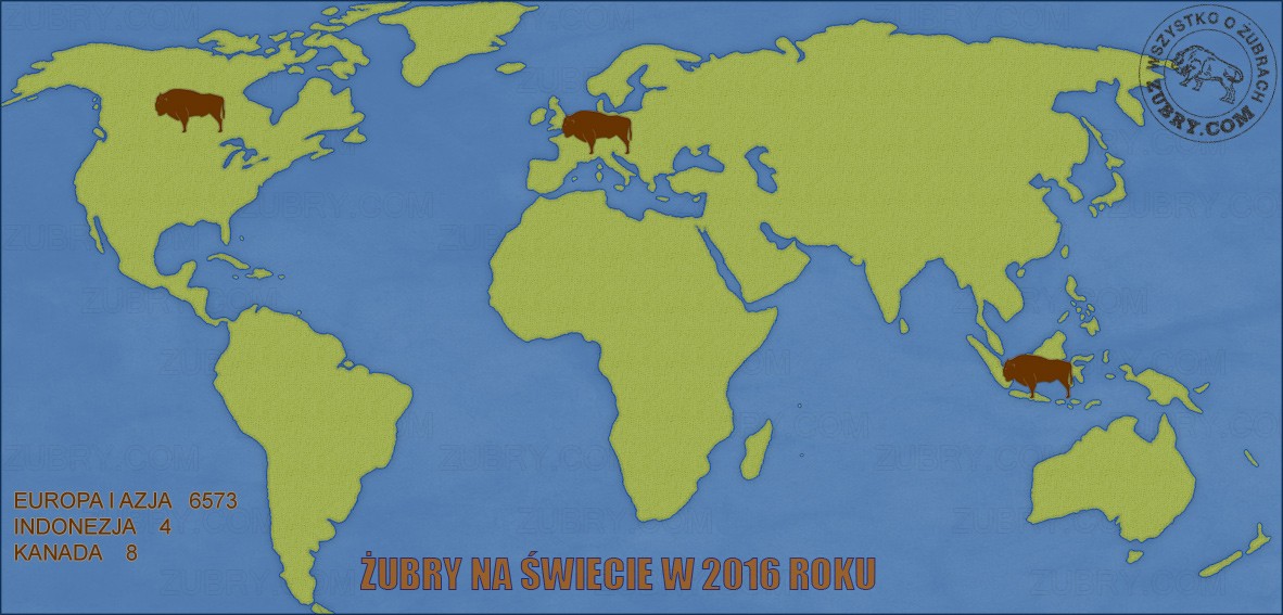 Żubr na świecie w 2016 roku