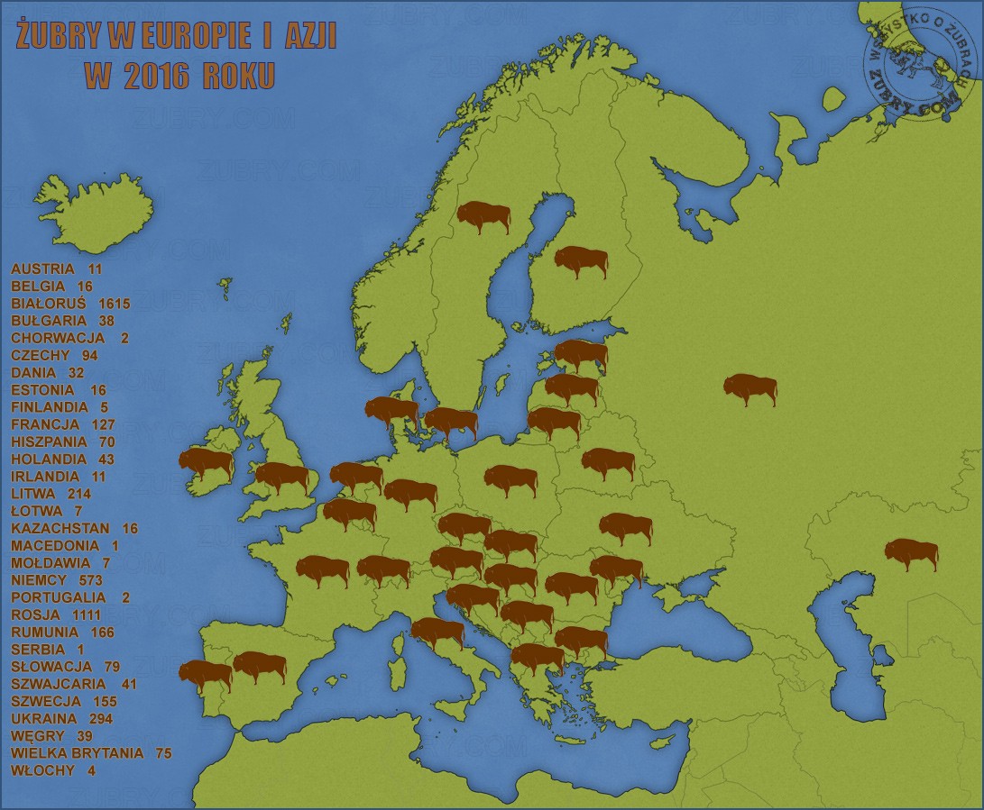 Żubr w Europie i Azji w 2016 roku