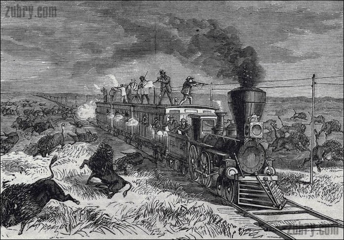 Strzelanie do bizonów z pociągu rok1870