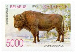 Białoruś - 1995