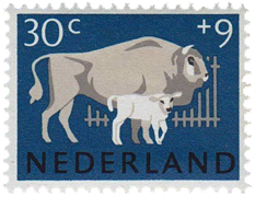 Holandia - 1964 rok